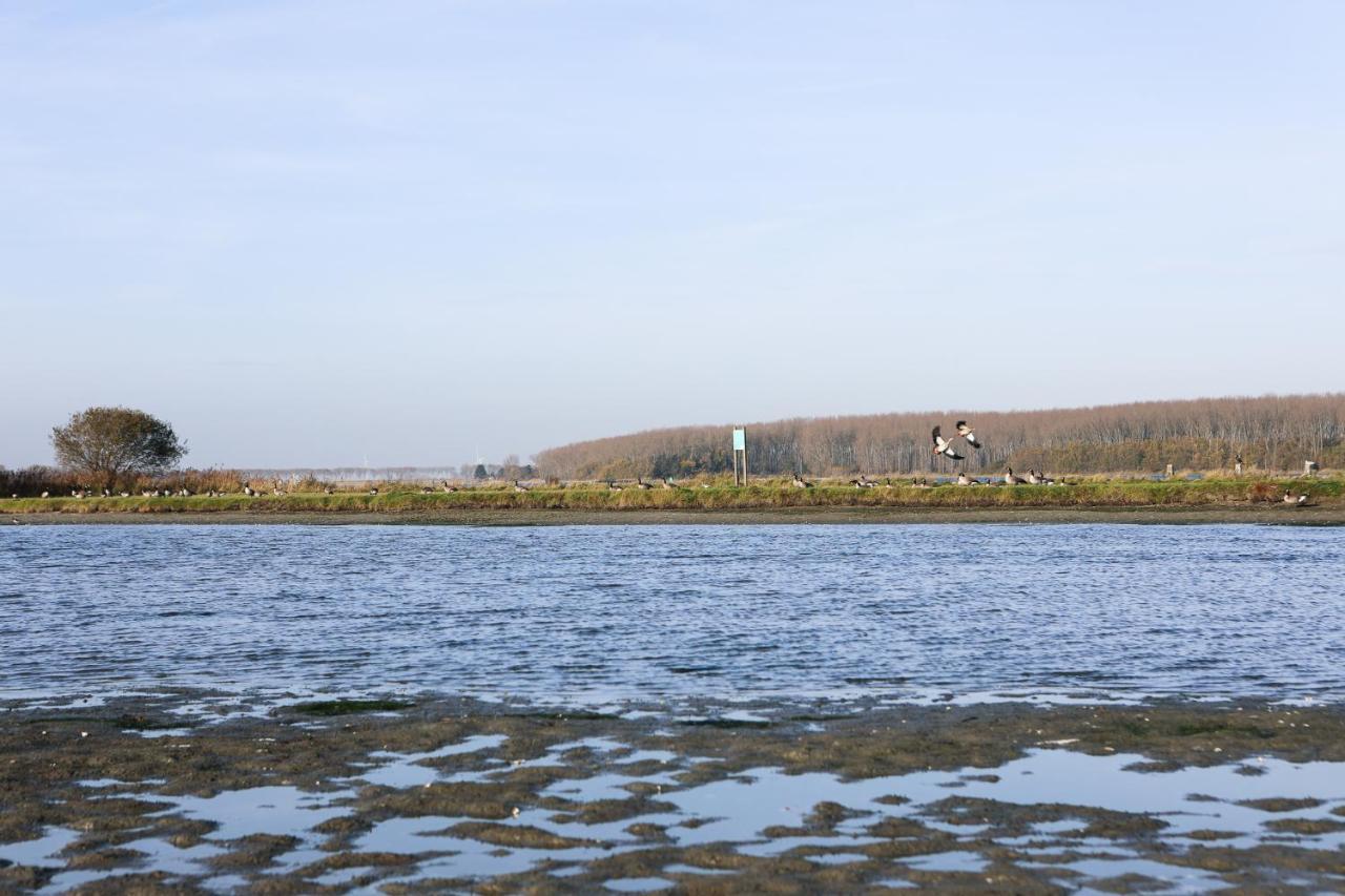 Wolphaartsdijk Huis Met Een Uitzicht Exteriér fotografie