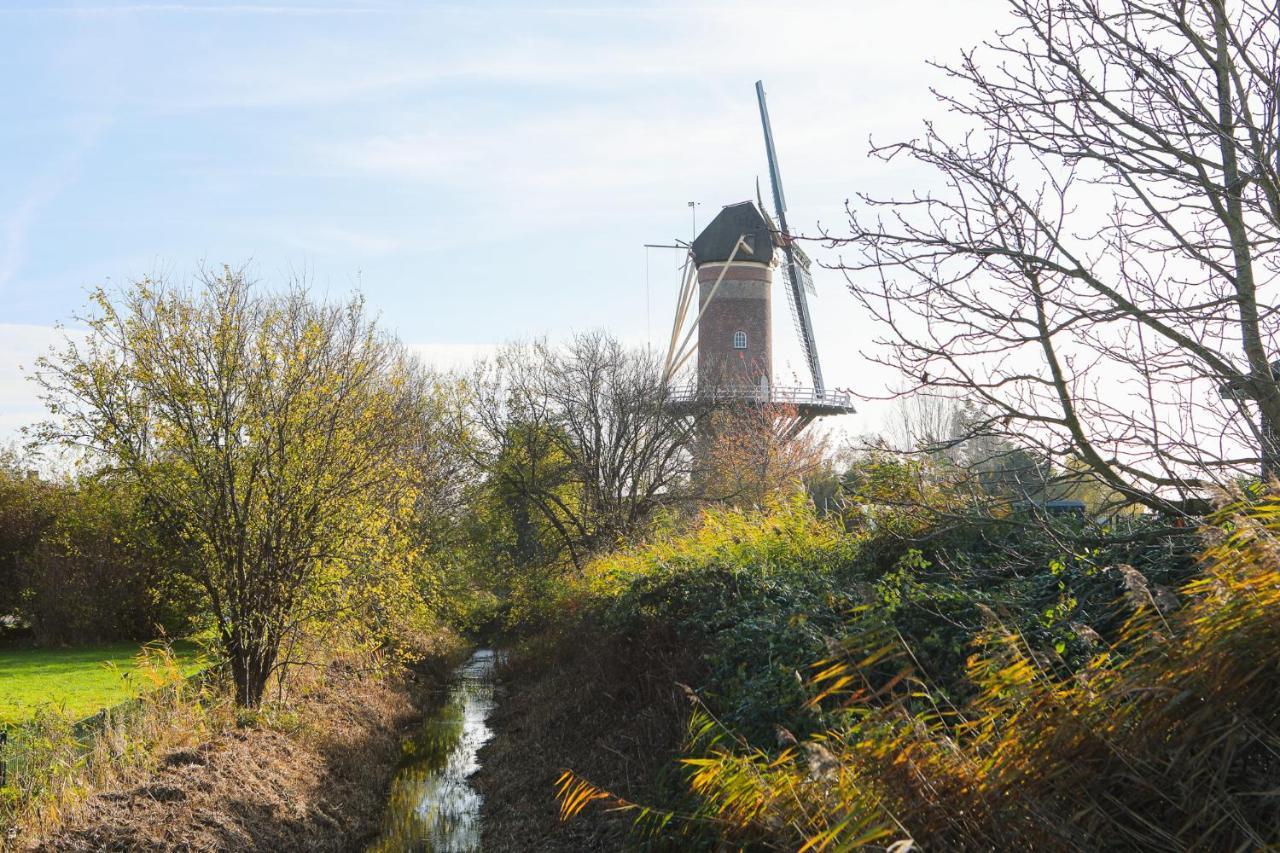 Wolphaartsdijk Huis Met Een Uitzicht Exteriér fotografie