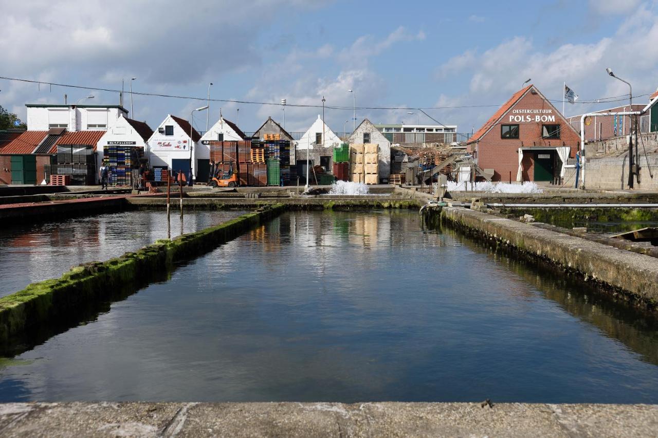 Wolphaartsdijk Huis Met Een Uitzicht Exteriér fotografie