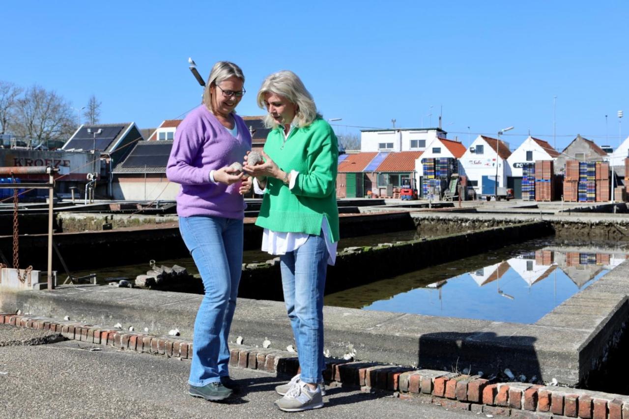 Wolphaartsdijk Huis Met Een Uitzicht Exteriér fotografie